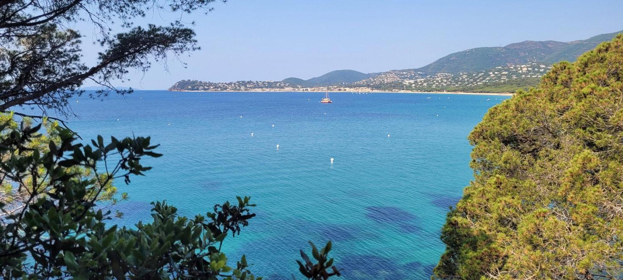 Appart T3 A 50 M De La Plage Cavalaire-sur-Mer Eksteriør billede